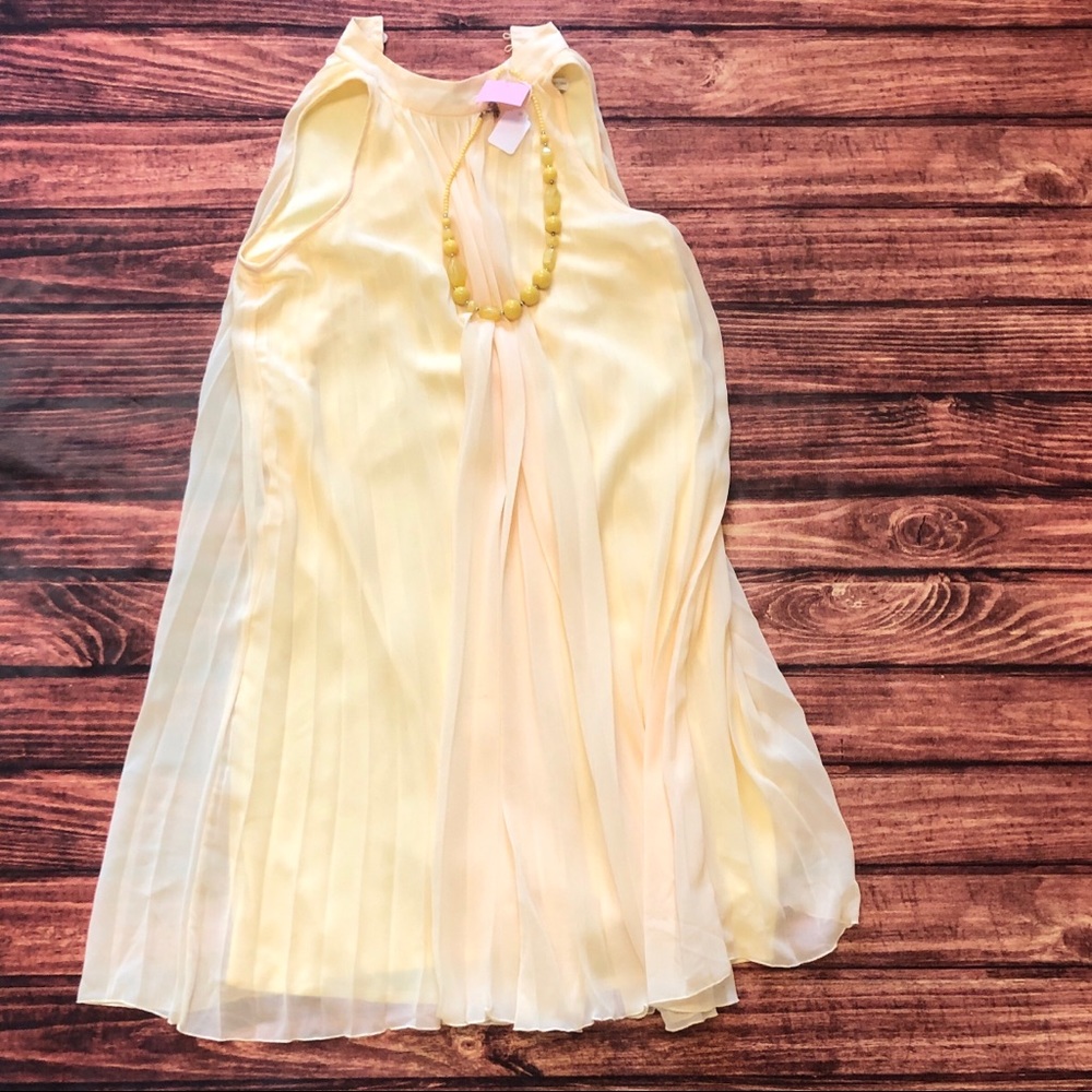 Pleated Spring/Summer Dress